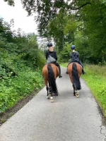 ausreiten-2