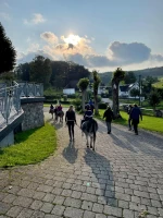 ausreiten-3