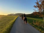 ausreiten-4