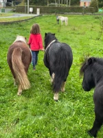 ausreiten-7