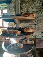 backhaus-1