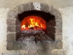 backhaus-2
